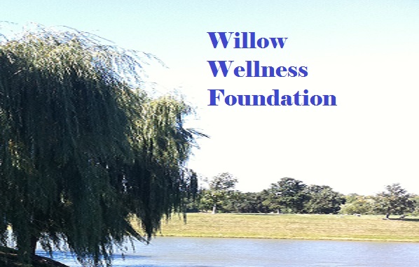 WillowFoundLogo